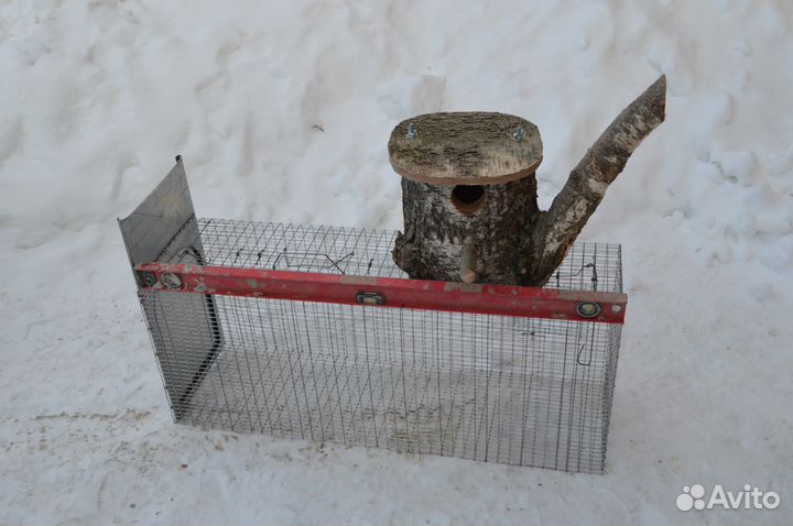 Живоловушки для животных