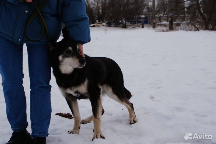 Джоник ищет родителей