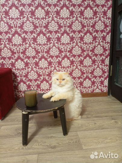 Ищем подружку