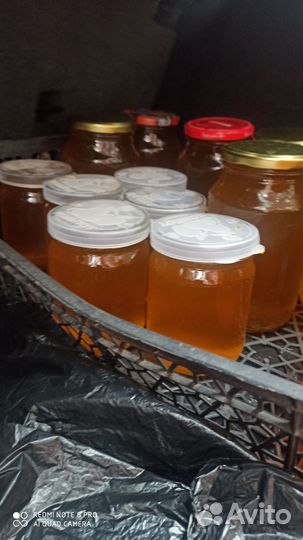 Продаю мед