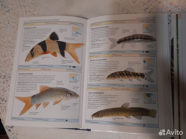 Книги про аквариумных рыб