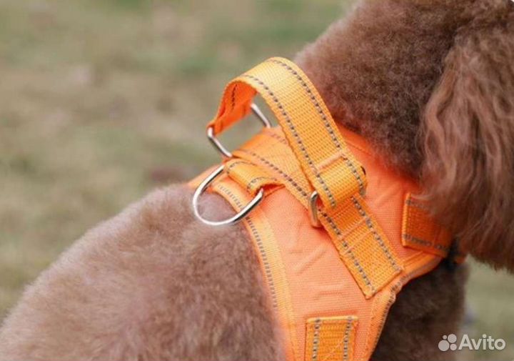 Шлейка Rojeco и поводок рулетка 5м новые