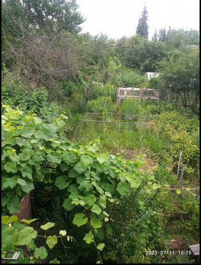 Дом 74 м² на участке 1,9 сот.