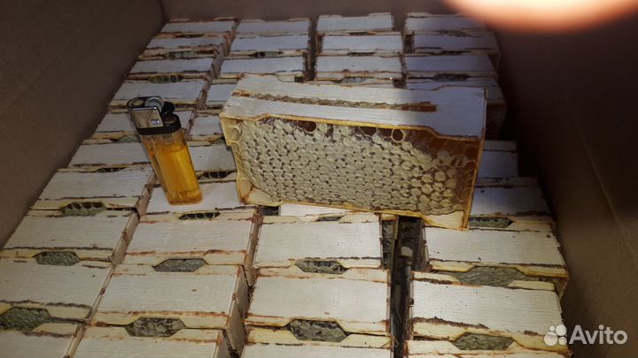 Мед в сотах 2023 разнотравье