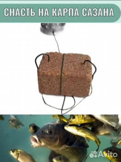 Макушатник