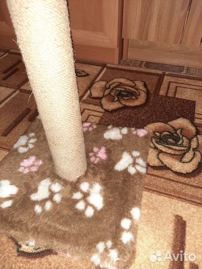 Когтеточка