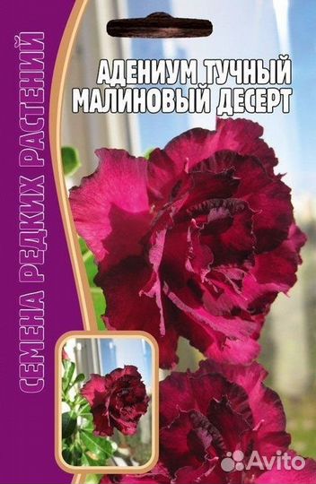 Адениум Белая роза 3 шт редкие семена