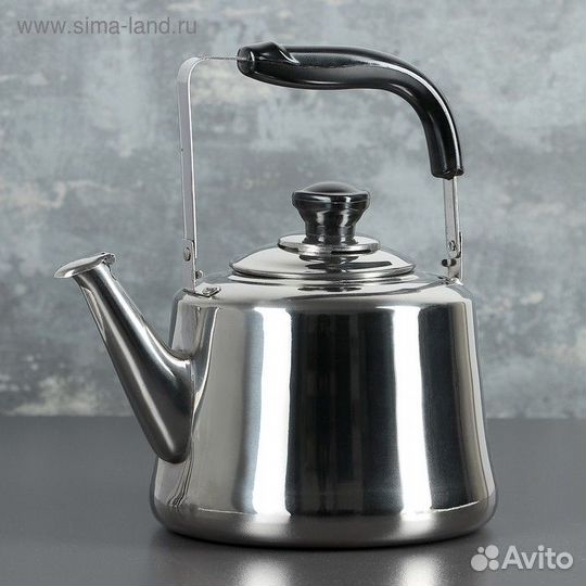 Чайник из нержавеющей стали «Чайковский», 3 л, цве