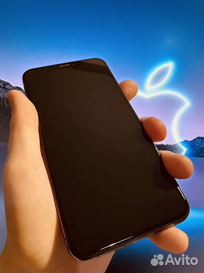 iPhone Xs Max, 256 ГБ