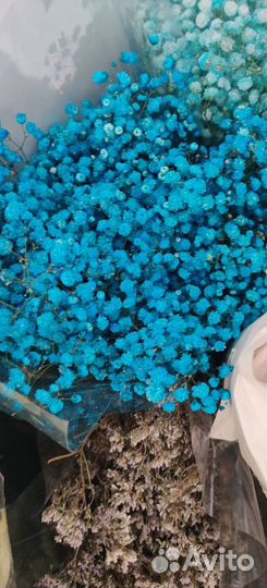 Букет из гипсофилы в коробке