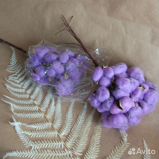 Хлопок сухоцвет