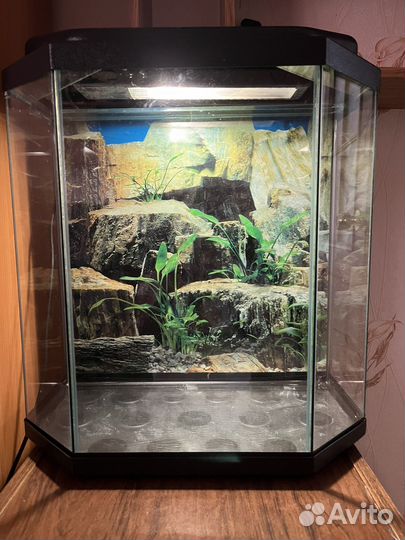 Аквариум для рыб