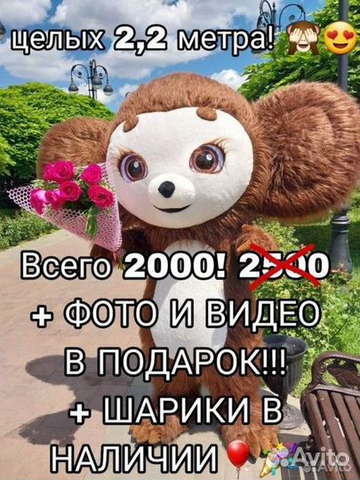 Поздравление от Чебурашки