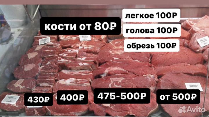 Мясо телятина