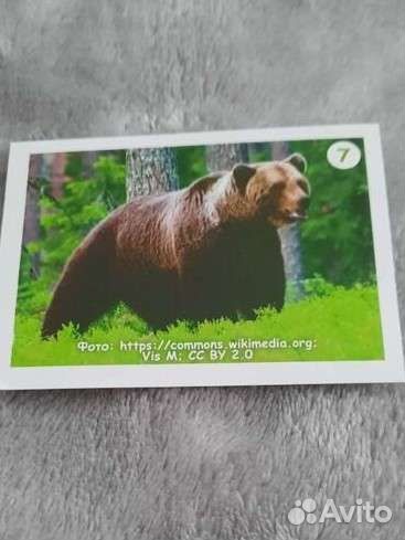 Наклейки Монетка от Урала до Ямала