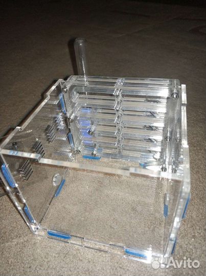 Муравьиная ферма без муравьев