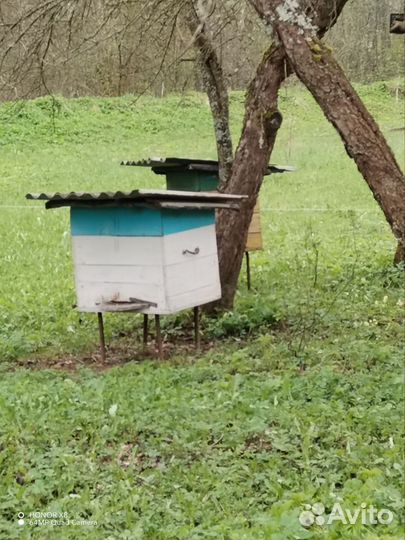 Улей для пчел
