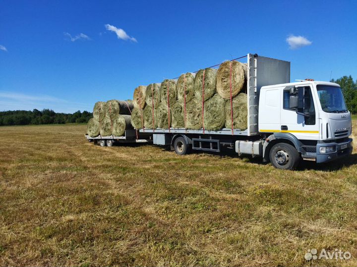 Сено в рулонах 2024. Доставка (Цена договорная)