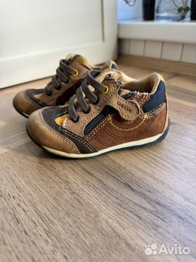 Ботинки geox 22