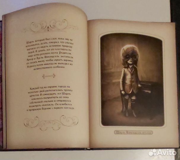 Удивительное семейство Аппенцелль