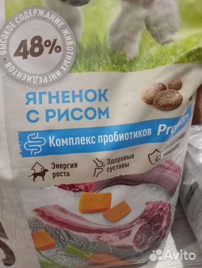 Корм для собак