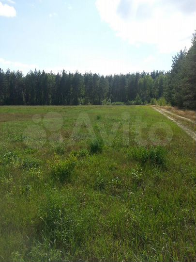 Участок 4,3 га (СНТ, ДНП)