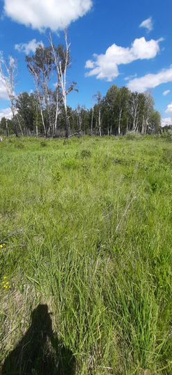 Участок 15 сот. (СНТ, ДНП)