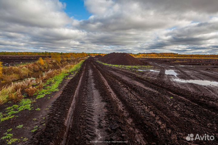 Плодородный грунт, чернозем, торф