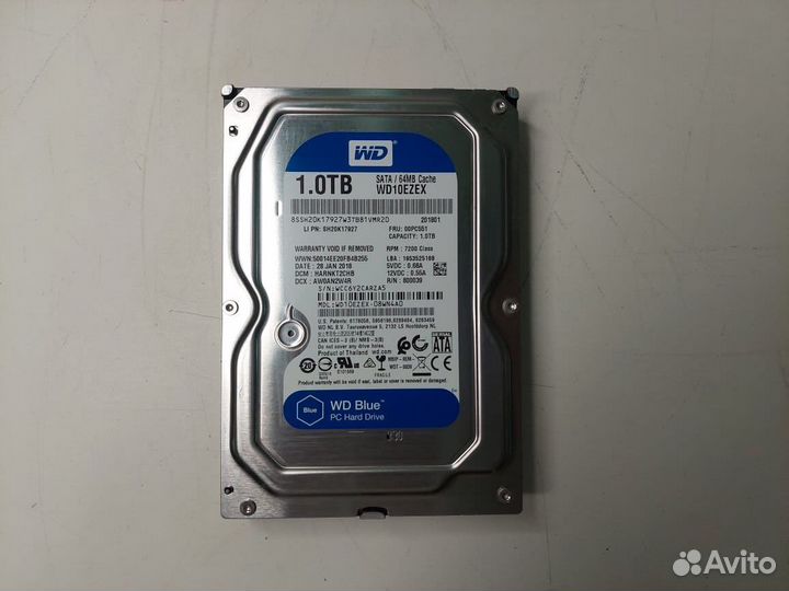 1TB (1000GB) HDD Western Digital Blue