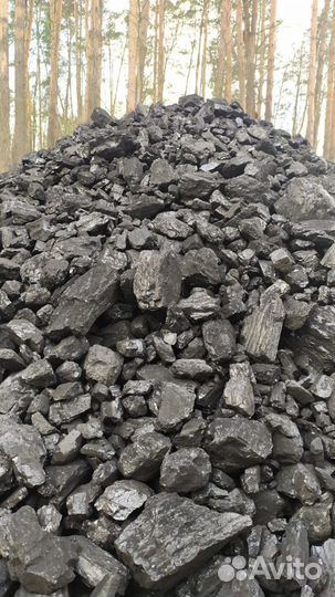 Каменный уголь в Зеленогорске