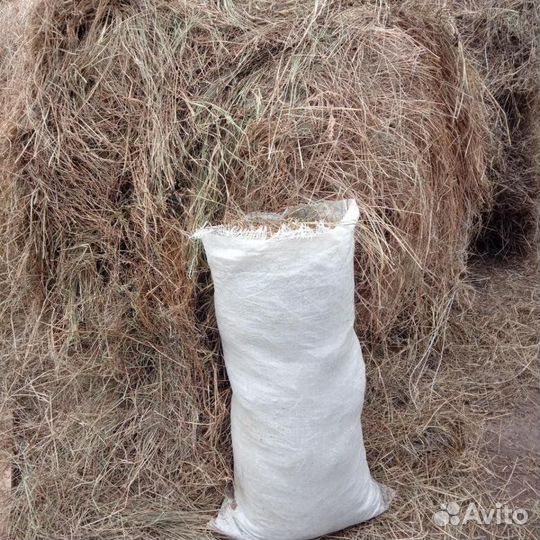 Сено для подстилки
