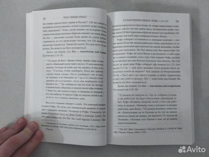 Под сенью крыл