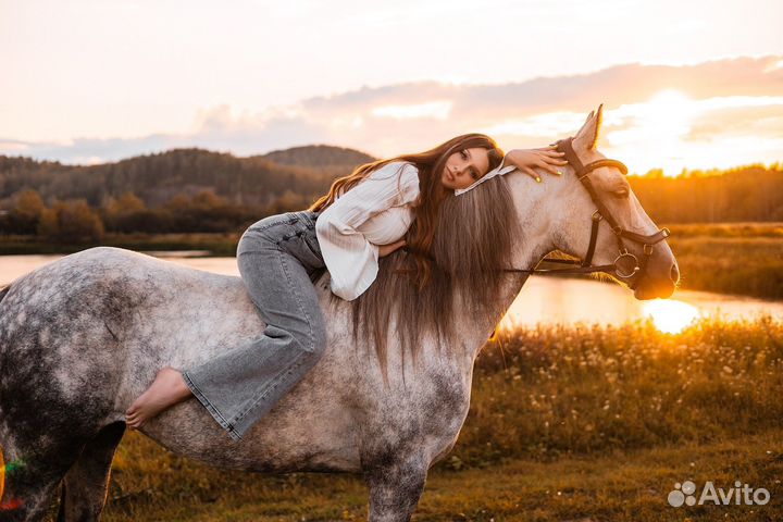 Конные прогулки и фотосессии