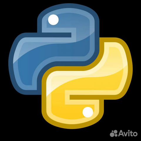 Программист на python