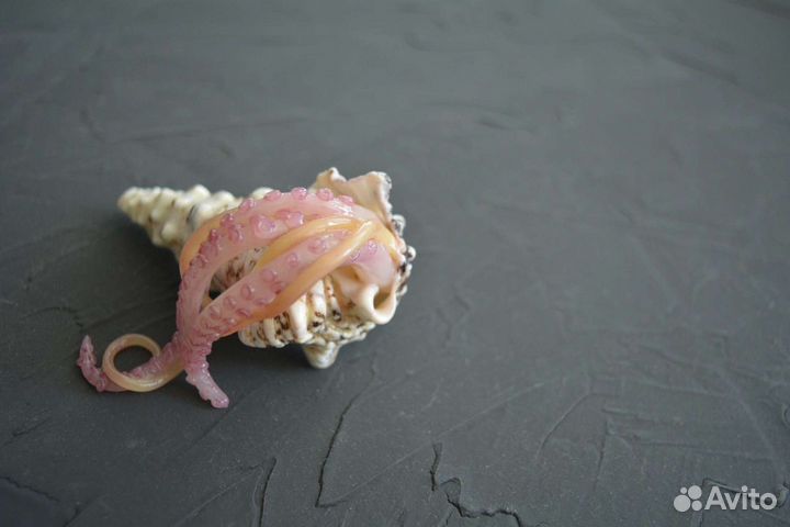 Сувенир ракушка осминог
