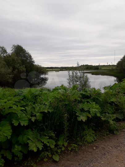 Участок 14,5 сот. (ИЖС)