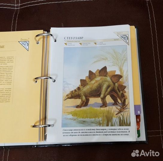 Книги о животных