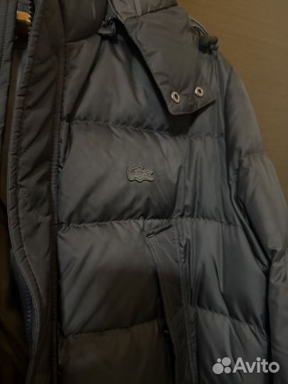 Пуховик мужской Lacoste