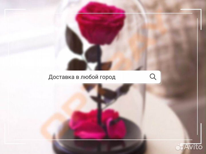 Роза в колбе