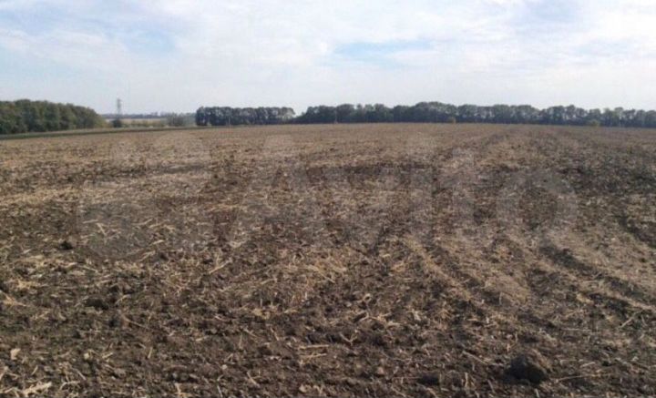 Участок 4,95 га (СНТ, ДНП)