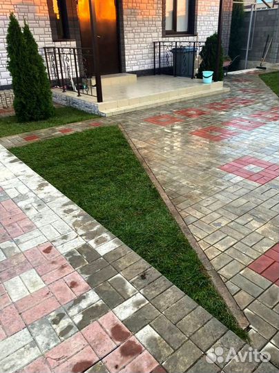 Рулонный газон 