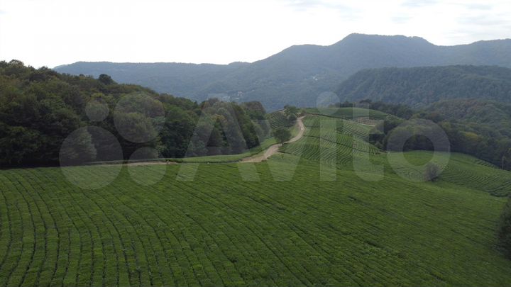 Участок 6,5 сот. (СНТ, ДНП)