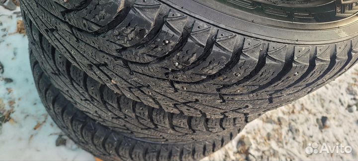 Maxxis Premitra Ice Nord NS5 (5 SUV) 2.25/7 R6.5 98