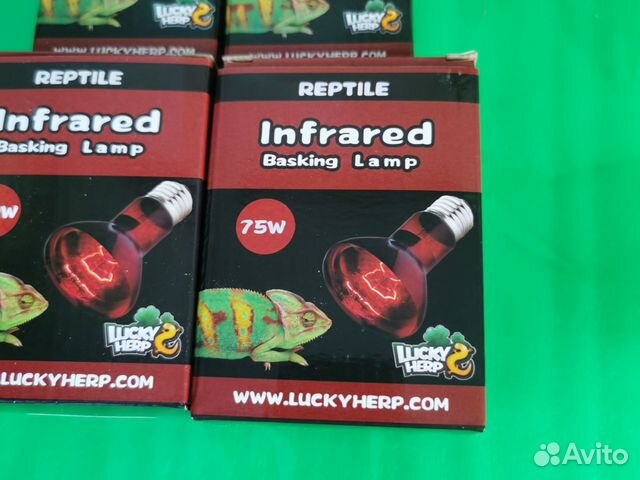 Лампа ик Basking Spot Lamp Red объявление продам