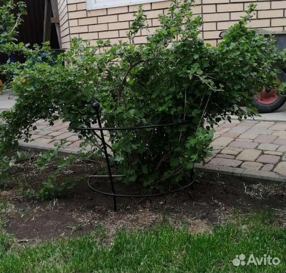 Опора для растений