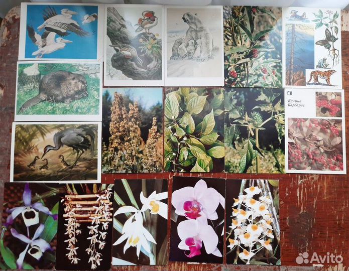 Наборы открыток