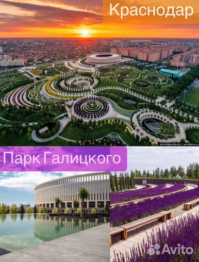 Тур в парк Галицкого