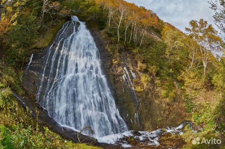 Сахалин летом турпоездка от 5 до 9 дн