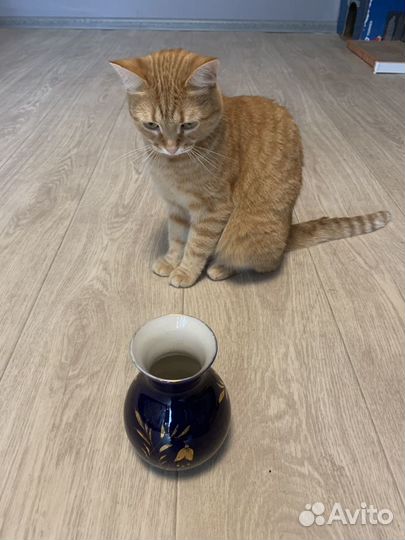 Горшок Гжель