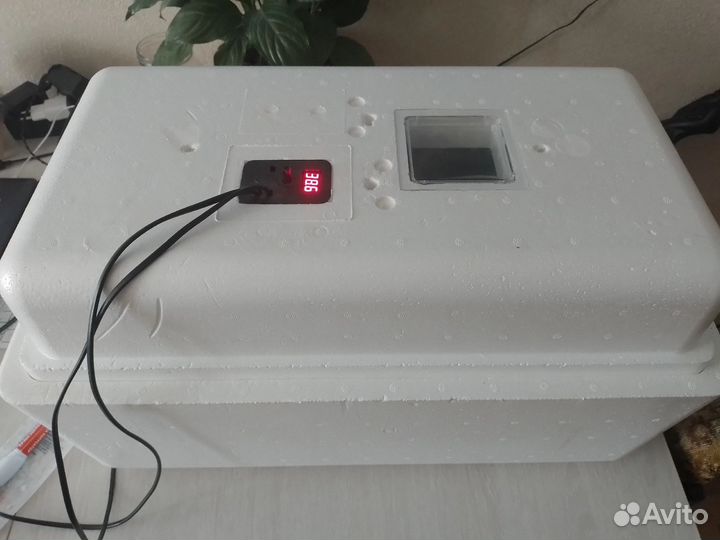 Инкубатор для яиц